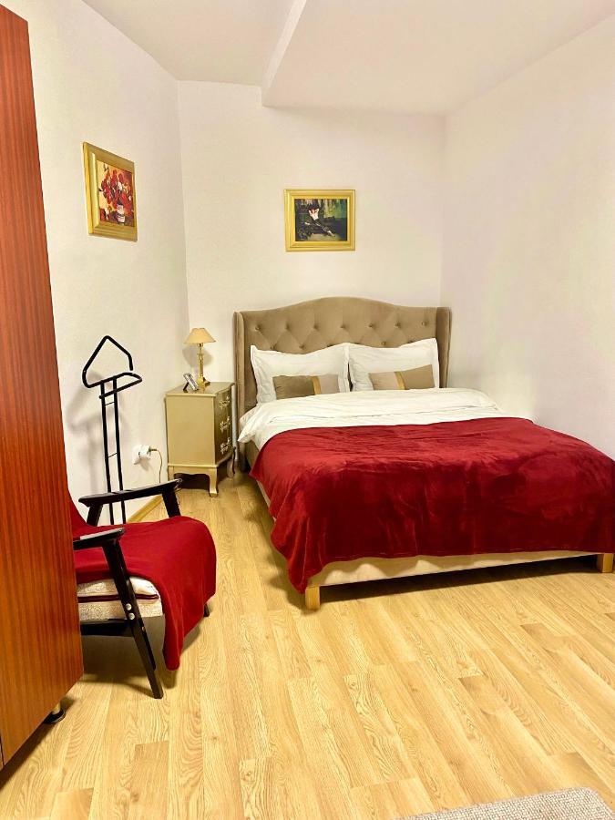Studio Panoramic With Balcony And Parcul Unirii View Alba Iulia Eksteriør bilde