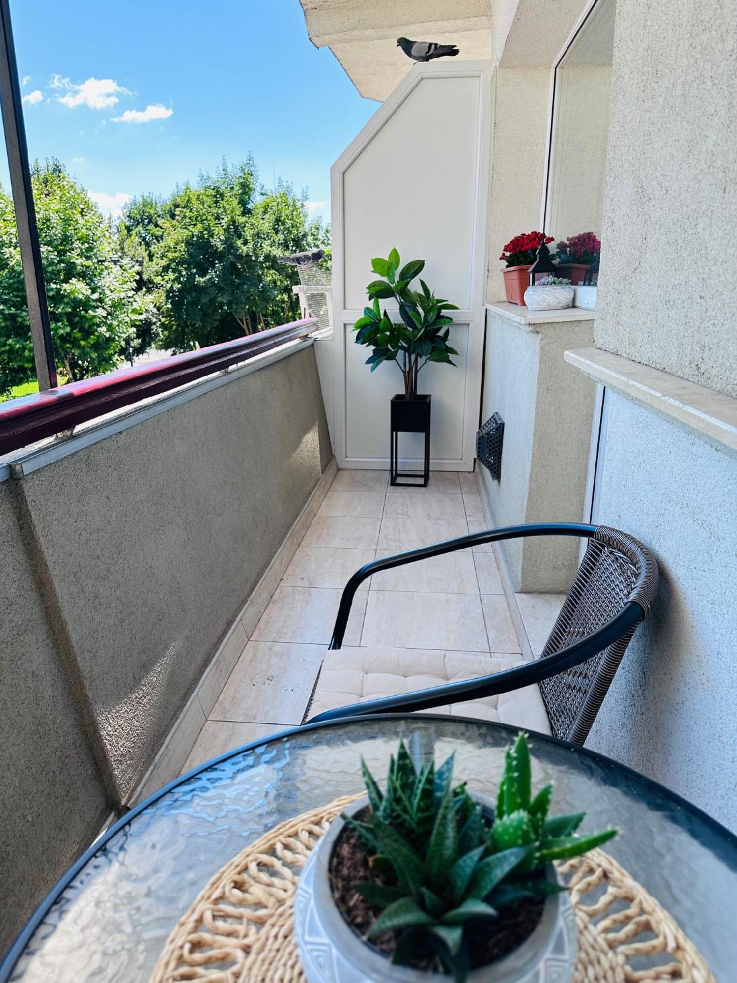 Studio Panoramic With Balcony And Parcul Unirii View Alba Iulia Eksteriør bilde